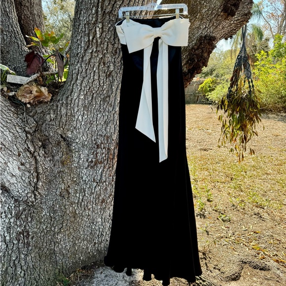 JAYGODFREY Dresses & Skirts - Jay Godfrey x Revolve black and white floor length gown.Oversized bow.Size 10